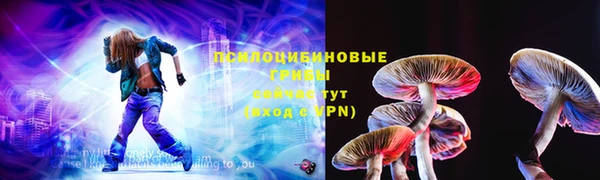 мдпв Горно-Алтайск