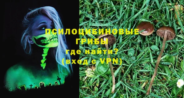 метадон Горнозаводск