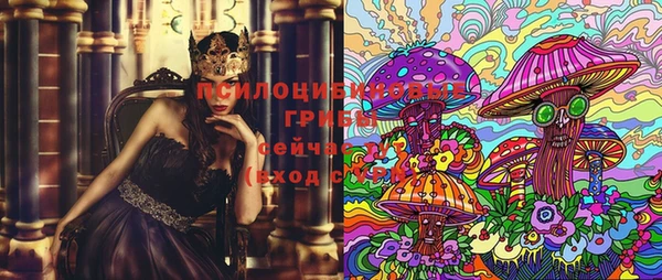 мдпв Горно-Алтайск