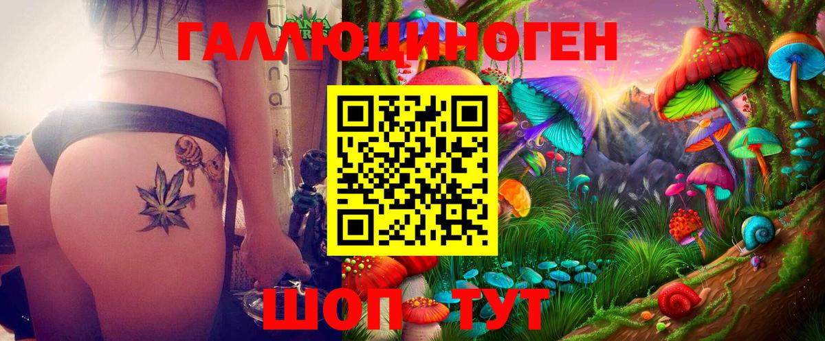 Галлюциногенные грибы ЛСД  Добрянка  Галлюциногенные грибы Cubensis 