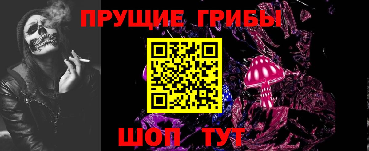 Добрянка  Псилоцибиновые грибы GOLDEN TEACHER  Галлюциногенные грибы GOLDEN TEACHER  Вход с VPN 